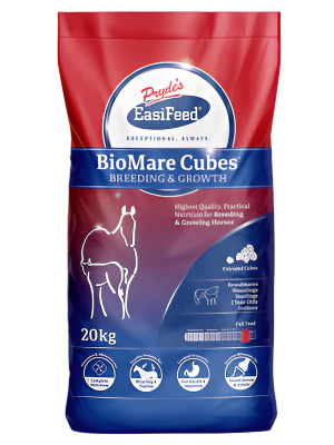 Prydes - BioMare Cubes