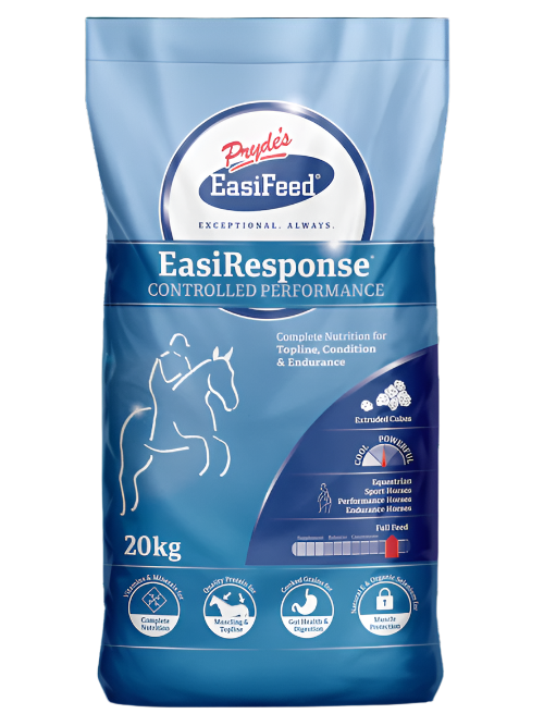 Prydes - EasiResponse