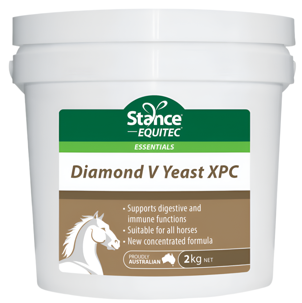 Stance Equitec - Diamond V Yeast XPC