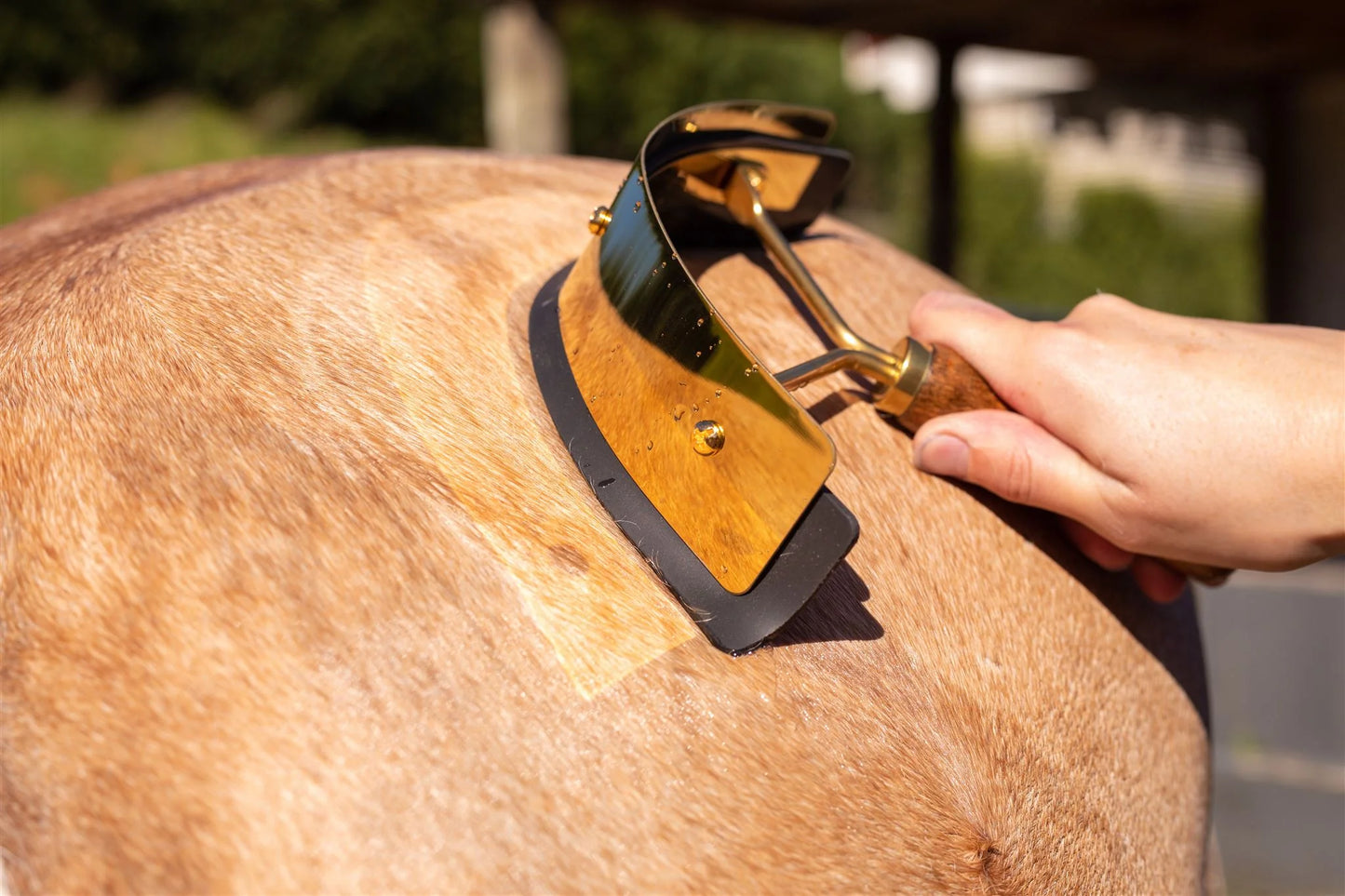 Hairy Pony - Gold Sweat Scraper