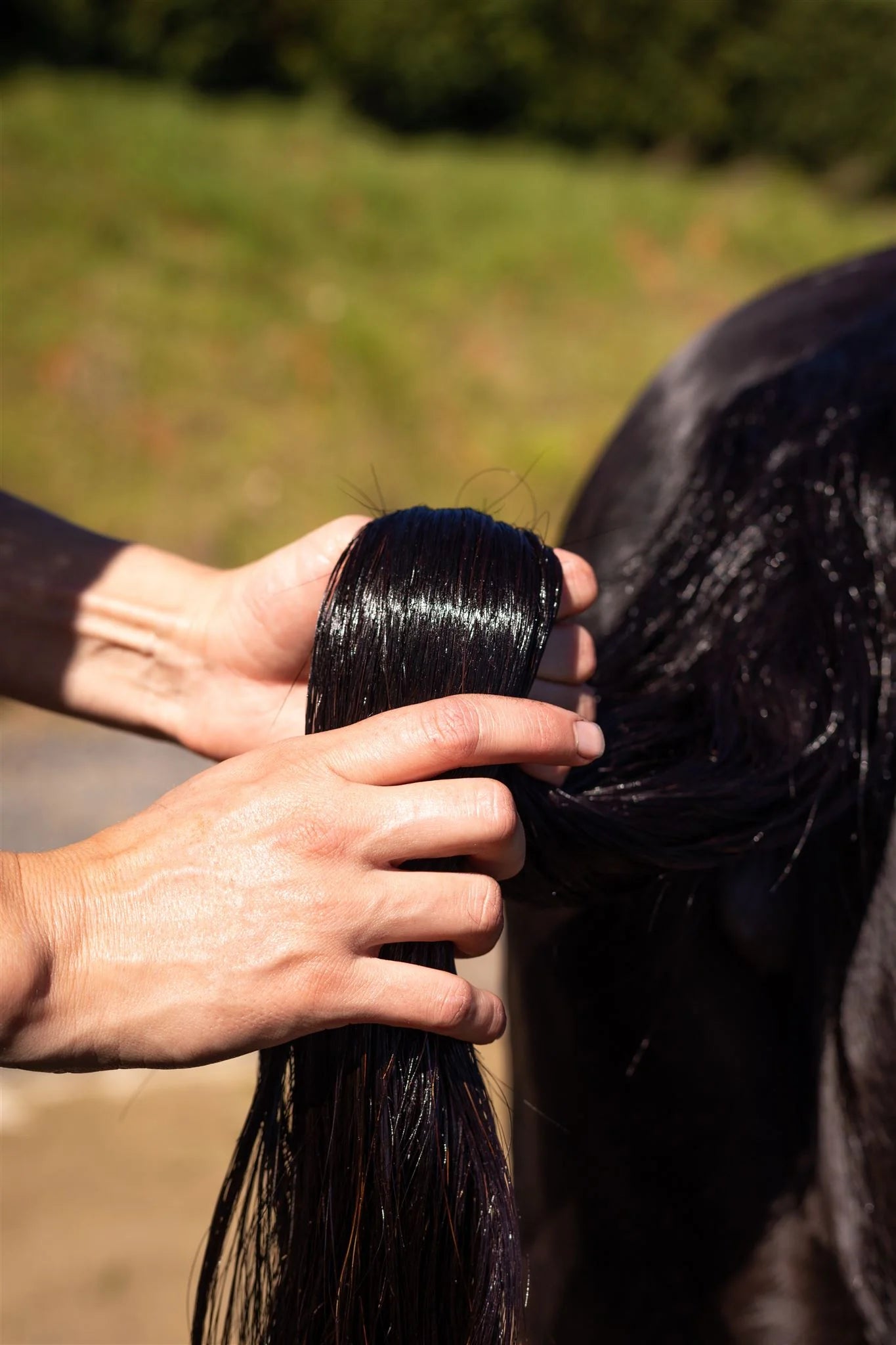 Hairy Pony - Hair Repair Raspberry & Sweet Pomegranate
