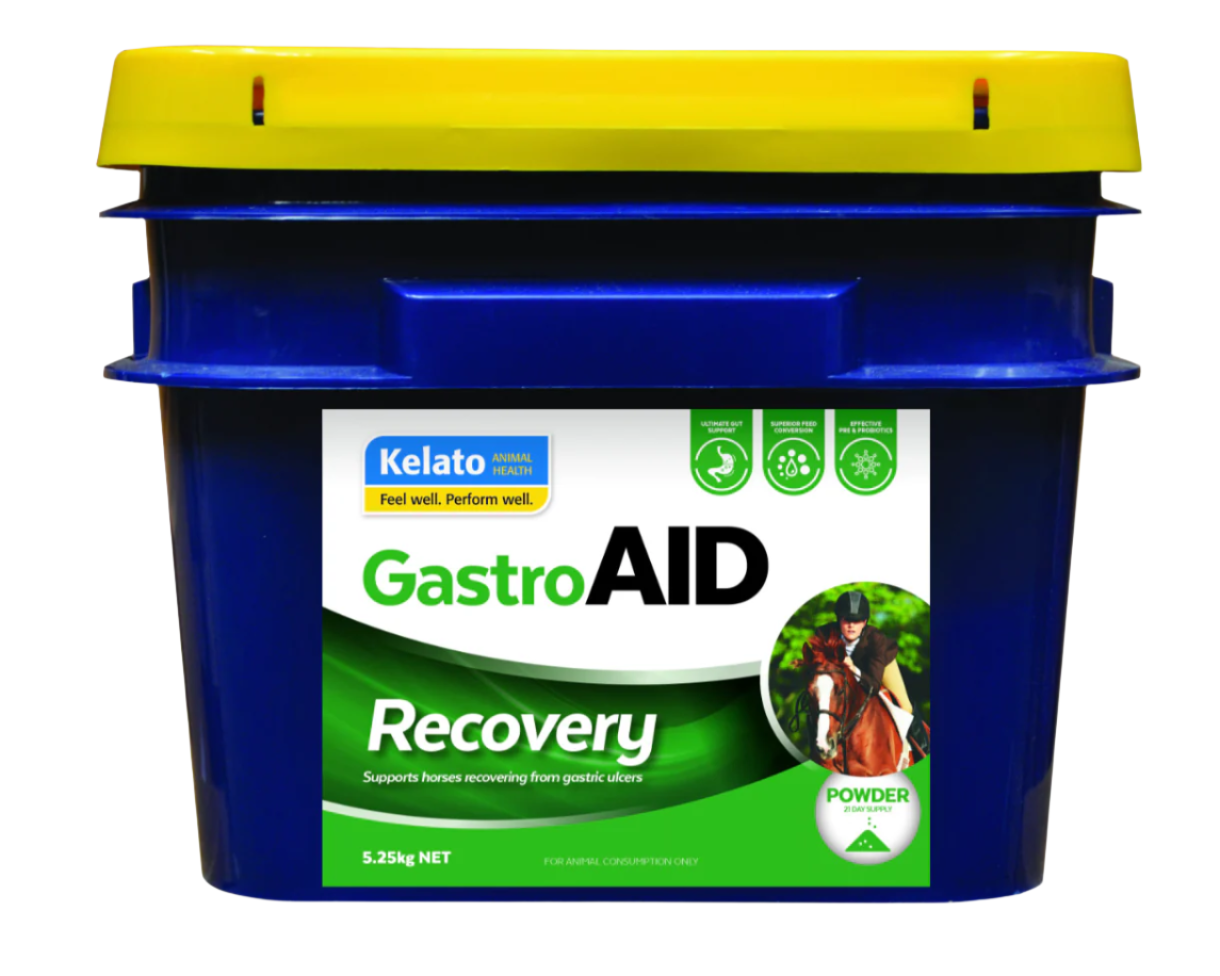 Kelato - GastroAID Recovery