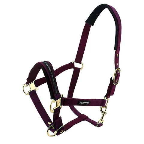 Horse Halter - Padded