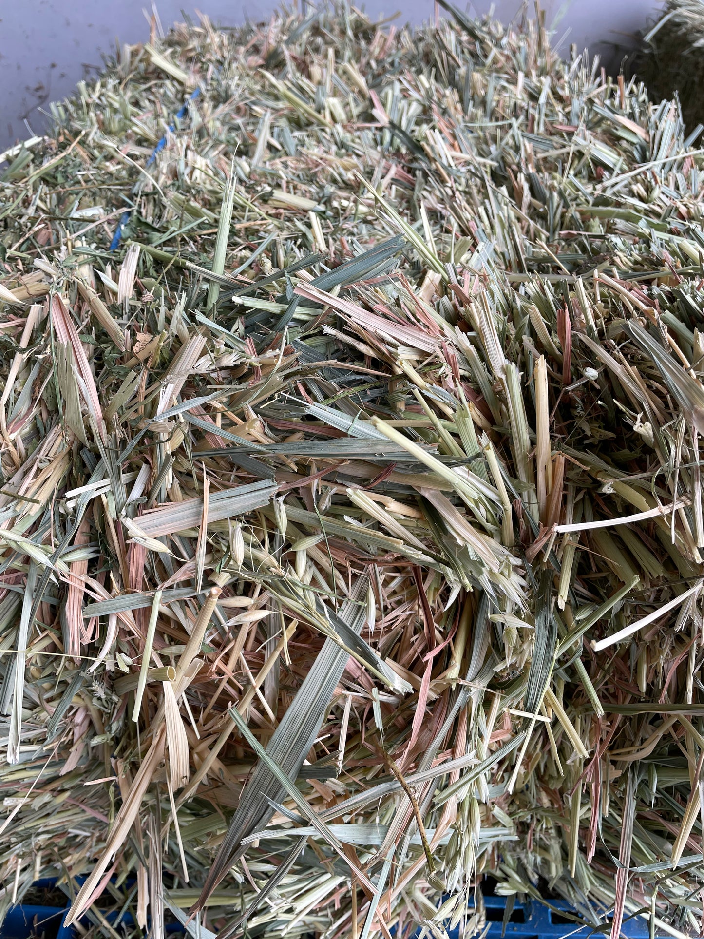 Oaten Hay