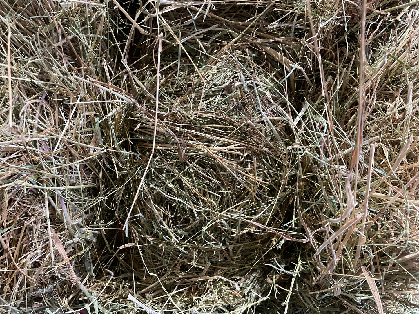 Pasture Hay