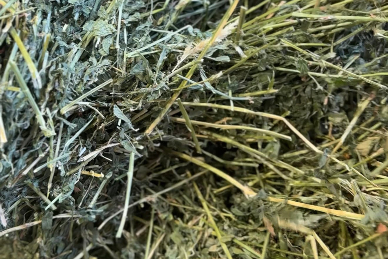 Lucerne Hay AAA