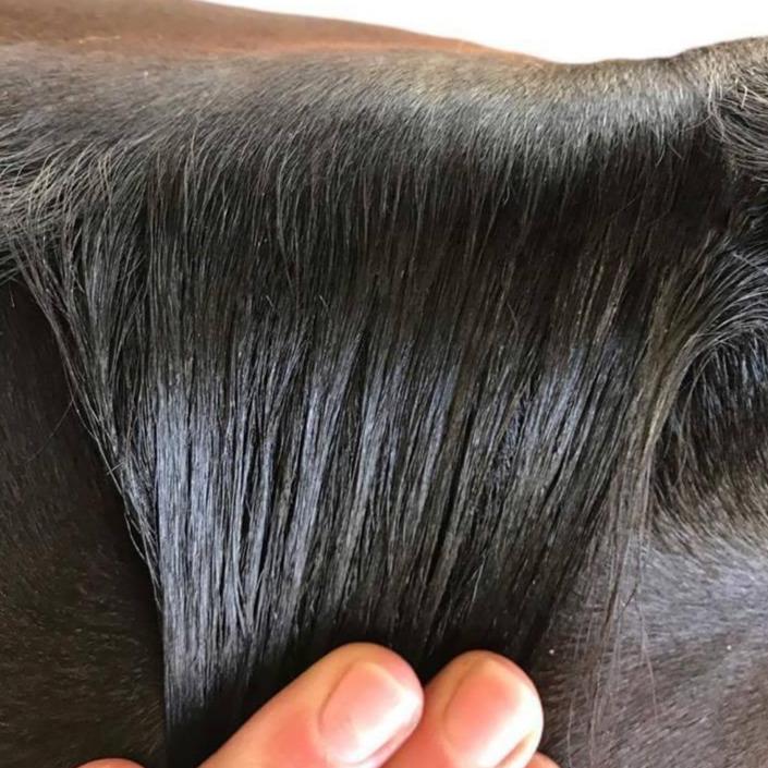 Hairy Pony - Plaiting Taming Wax