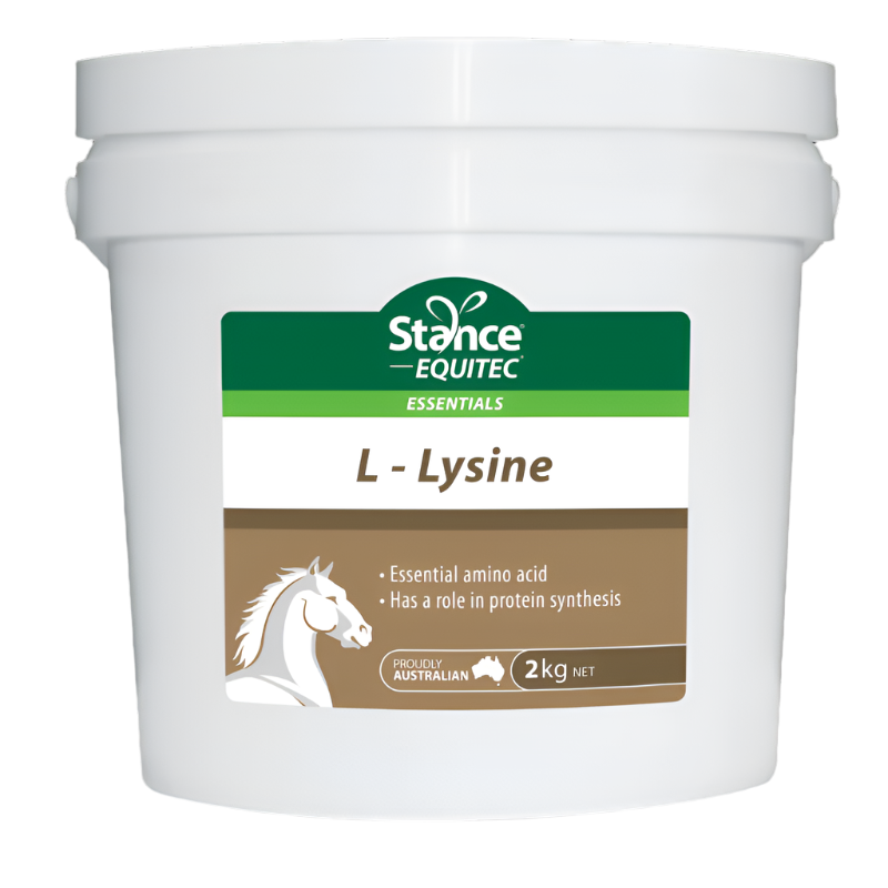 Stance Equitec - L-Lysine