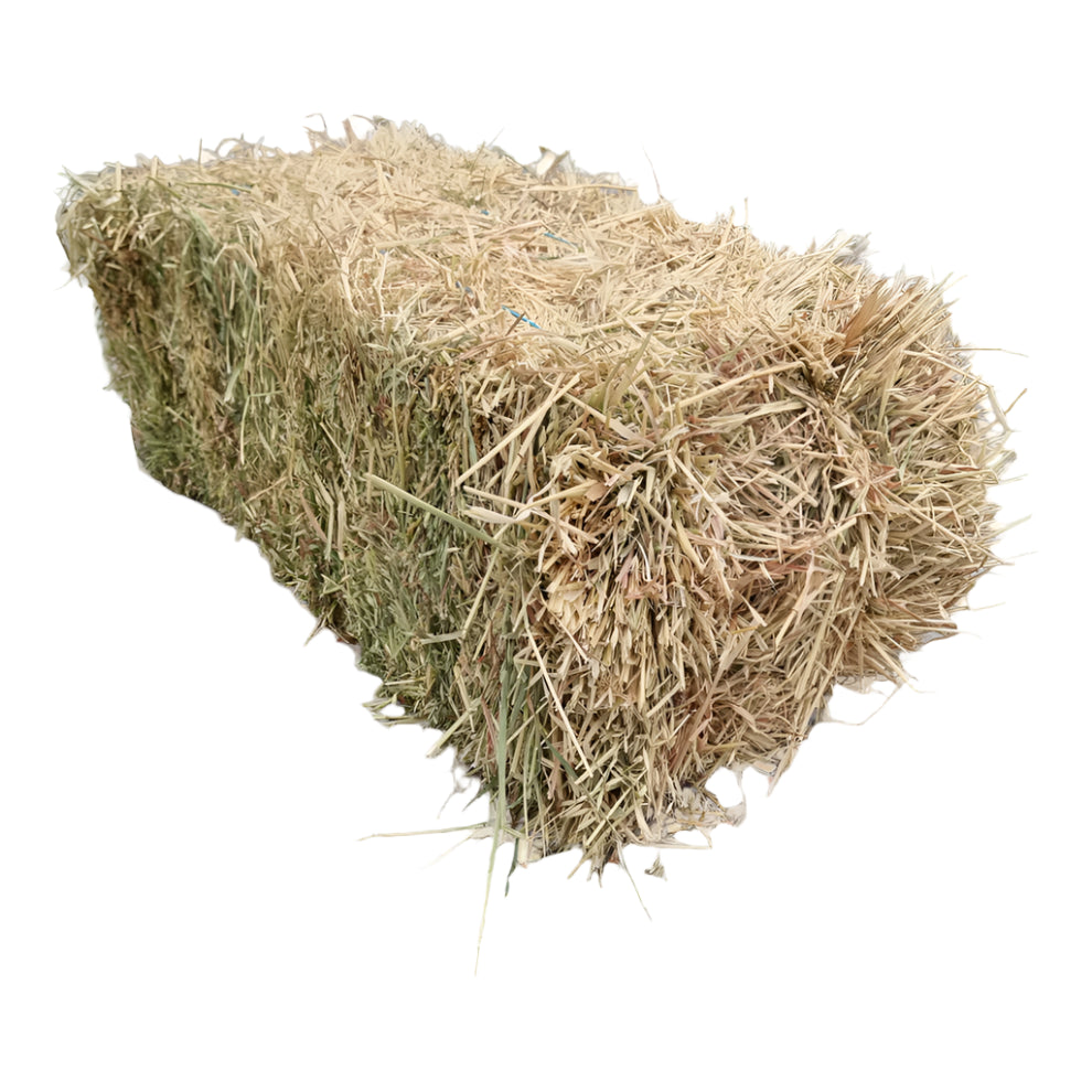 Oaten Hay - Compressed Bales