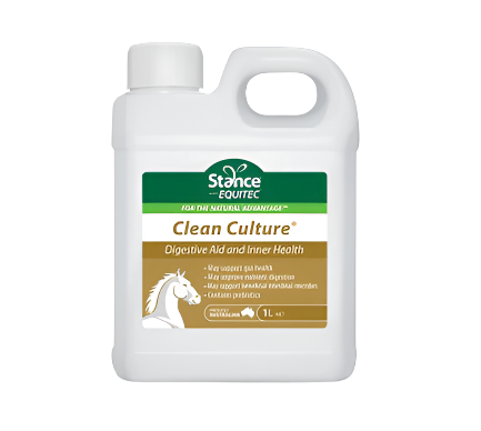 Stance Equitec - Clean Culture