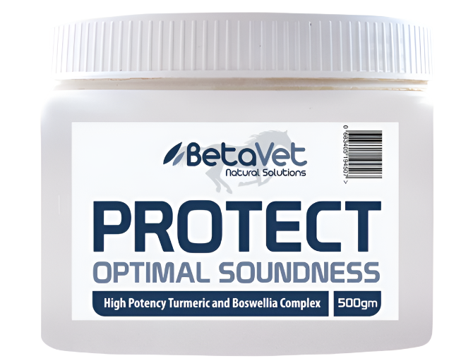 BetaVet - Protect