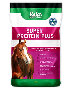 Relax Nutrition - Super Protein Plus