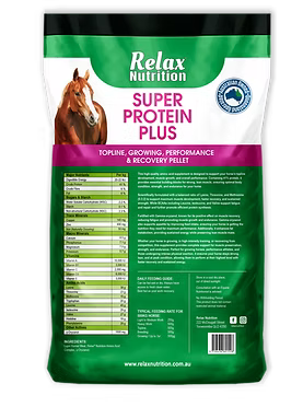 Relax Nutrition - Super Protein Plus