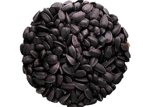 Green Valley Grains - Black Sunflower Seeds