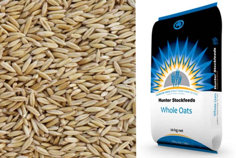 Hunters - Whole Oats