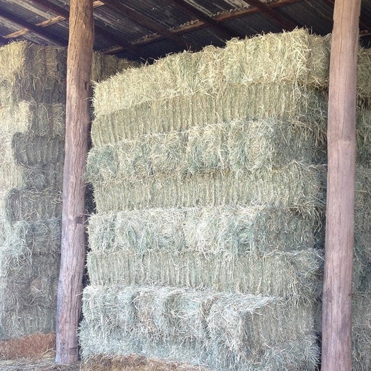 Rhodes Hay and Hay Changes – Let’s Feed Smarter