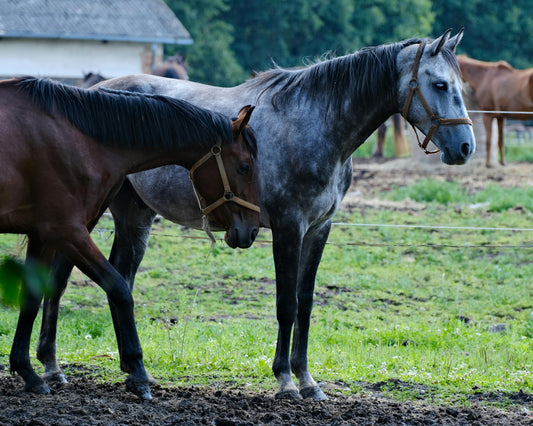 Colic - what’s going on?