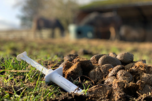 Is Summer Worming Beneficial in Australia?