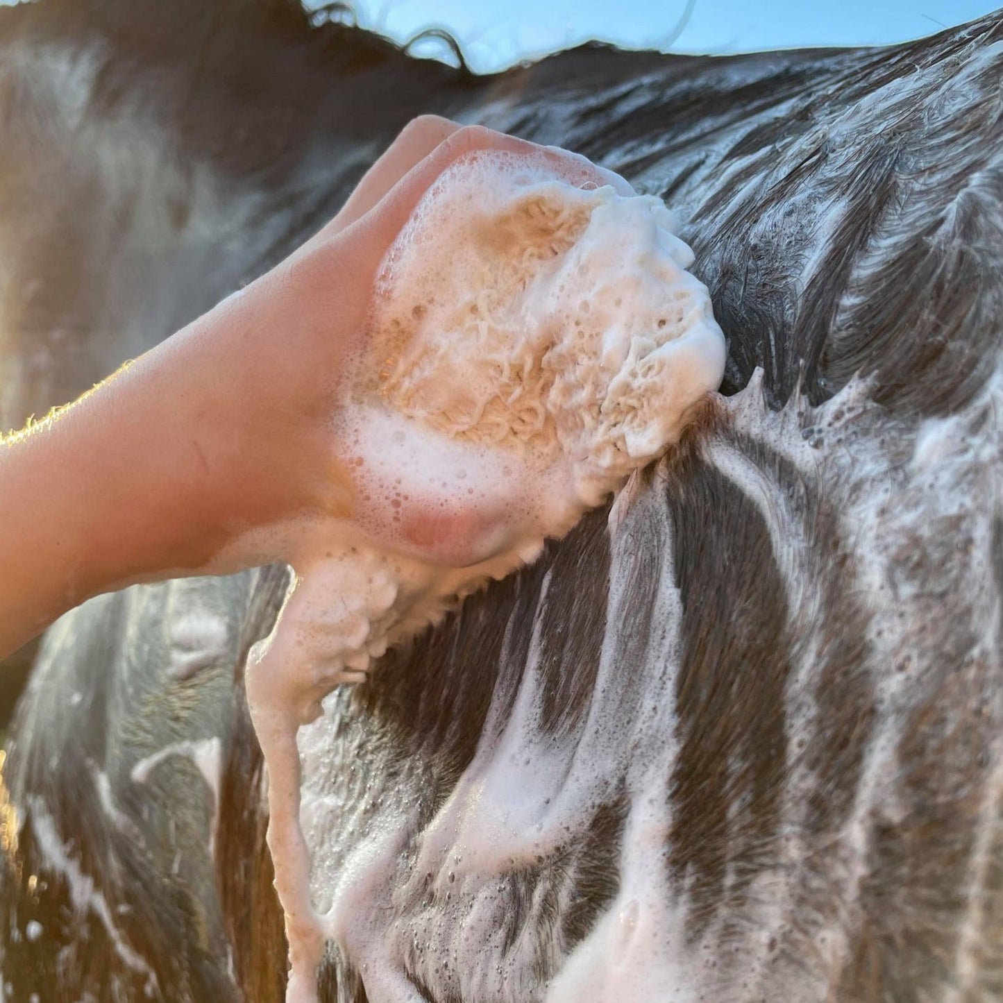 Hairy Pony - Eco-Friendly Original Shampoo Bar Anti-Bacterial