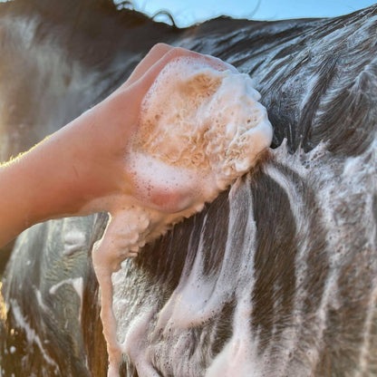 Hairy Pony - Eco-Friendly Original Shampoo Bar Anti-Bacterial