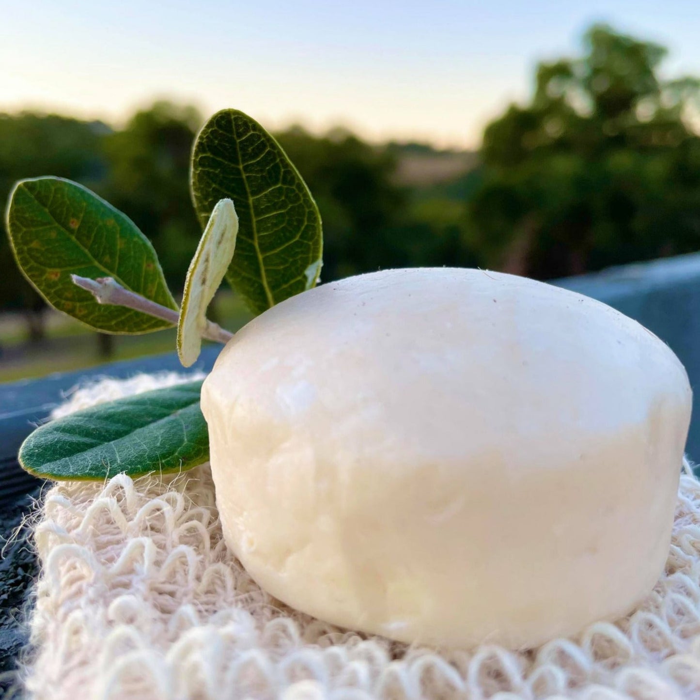 Hairy Pony - Eco-Friendly Original Shampoo Bar Anti-Bacterial