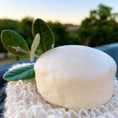 Hairy Pony - Eco-Friendly Original Shampoo Bar Anti-Bacterial