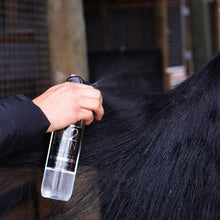 Hairy Pony - 2 in 1 Detangle & Shine Spray