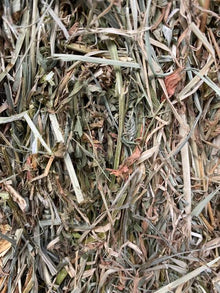 Rhodes Hay