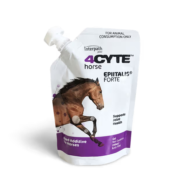 4CYTE Epiitalis Forte Gel Horses