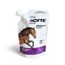 4CYTE Epiitalis Forte Gel Horses