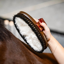 Hairy Pony - Wool Brush