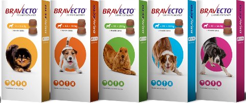 Bravecto Flea & Tick Chew 2pk
