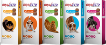 Bravecto Flea & Tick Chew 2pk