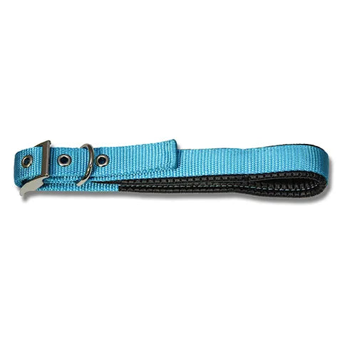 Padded Webbed Dog Collar
