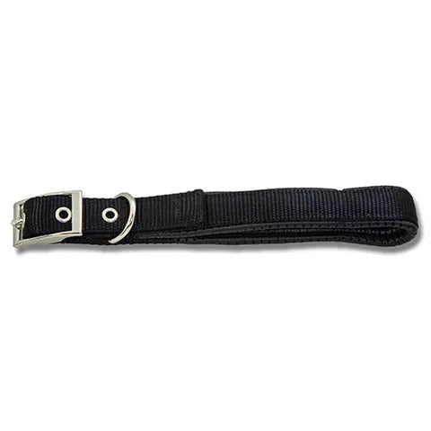 Padded Webbed Dog Collar