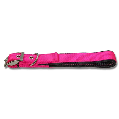 Padded Webbed Dog Collar