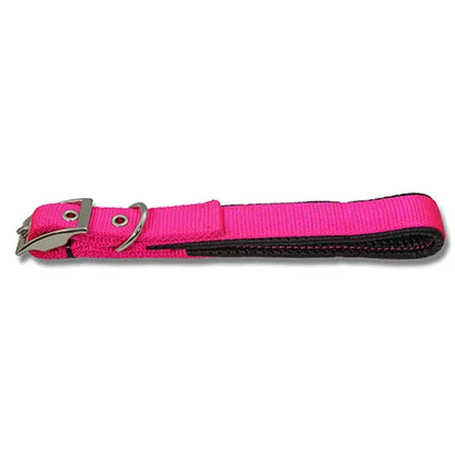 Padded Webbed Dog Collar