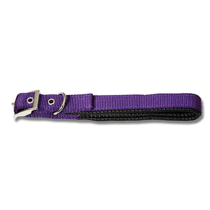 Padded Webbed Dog Collar