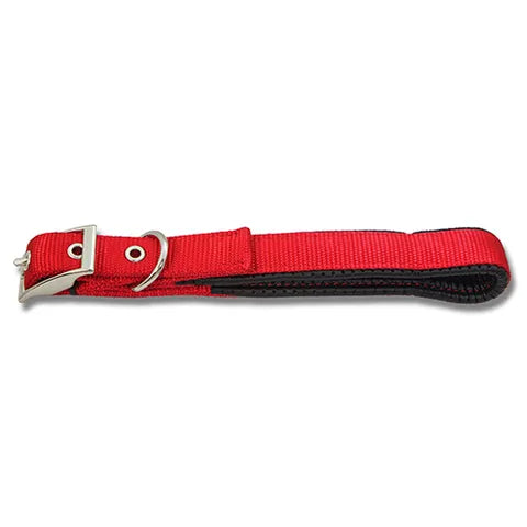 Padded Webbed Dog Collar