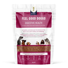 Feel Good Doggo - Digestive Health