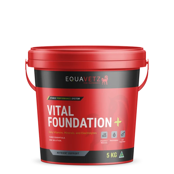 EquaVetz - Vital Foundation+