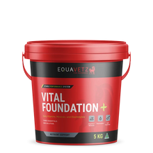 EquaVetz - Vital Foundation+