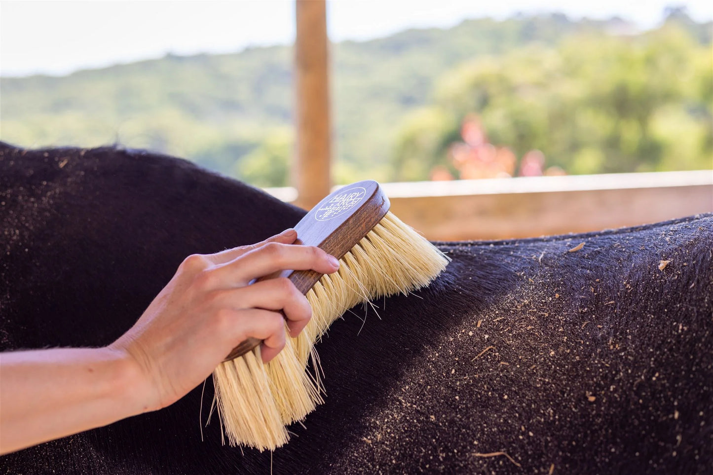 Hairy Pony - Flick Brush