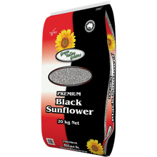 Green Valley Grains - Black Sunflower Seeds