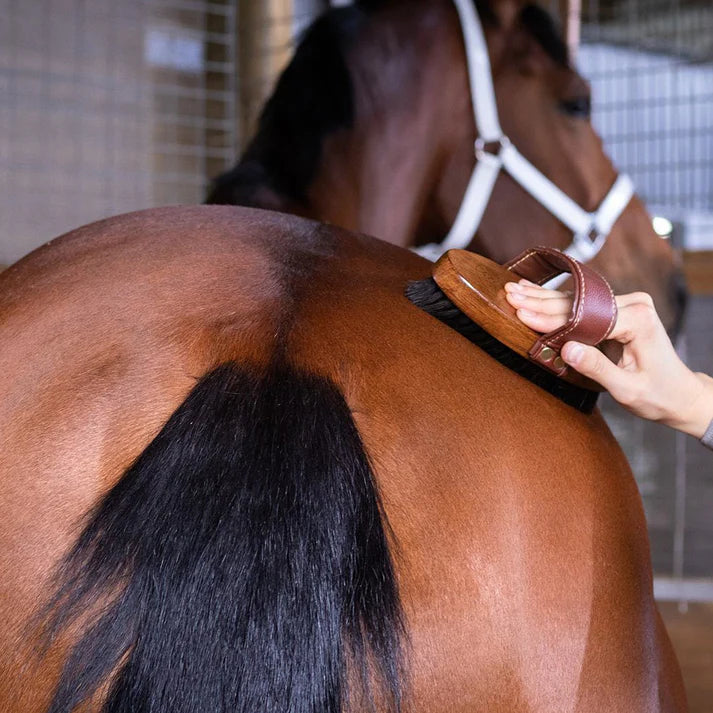 Hairy Pony - Essential Oil Coat Conditioner