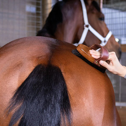 Hairy Pony - Essential Oil Coat Conditioner