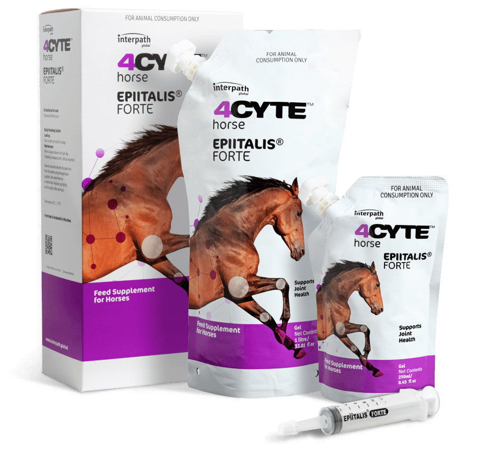 4CYTE Epiitalis Forte Gel Horses