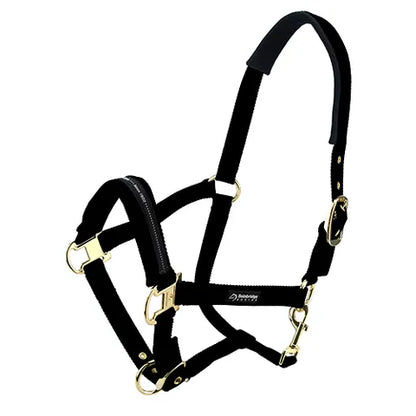 Horse Halter - Padded