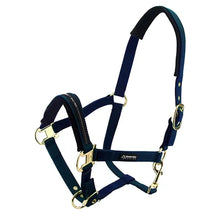 Horse Halter - Padded
