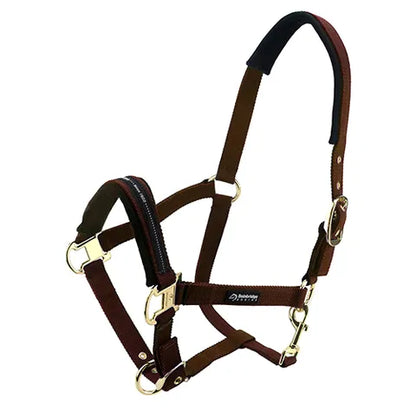 Horse Halter - Padded